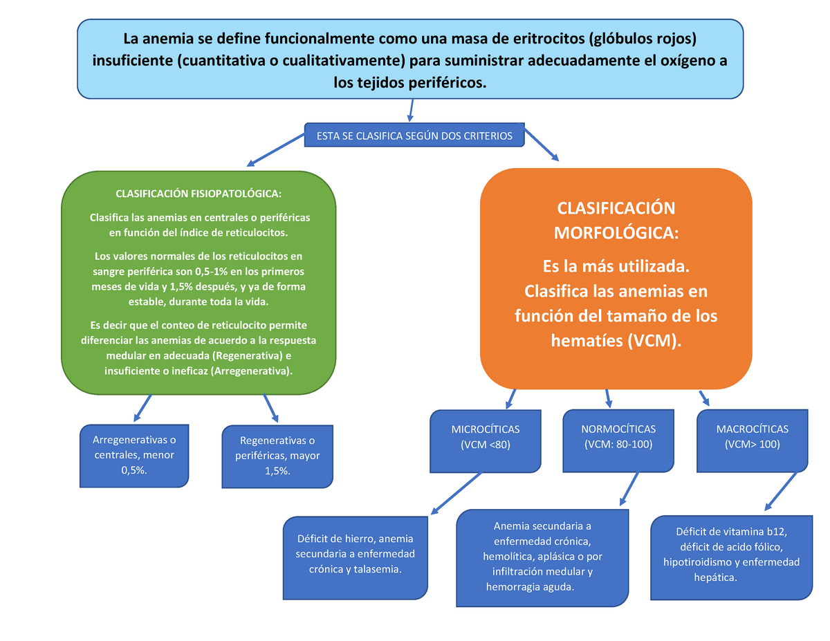 Mapa conceptual de los diferentes tipos de anemias - La anemia se define  funcionalmente como una - Studocu