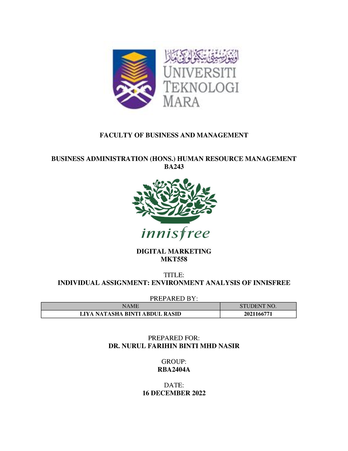 mkt558 digital marketing individual assignment