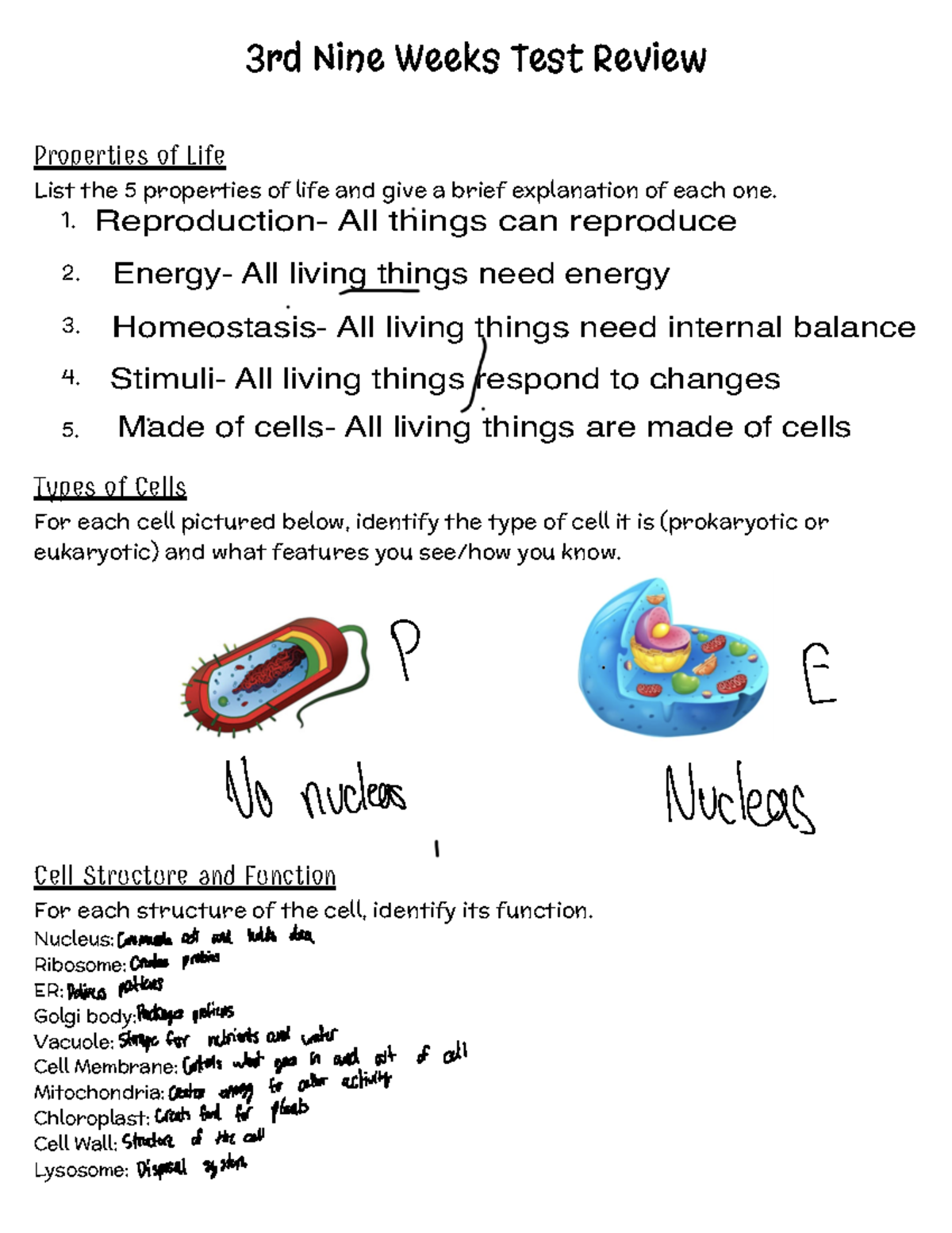 2223+3rd+9+Weeks+Test+Review 3rd Nine Weeks Test Review Properties