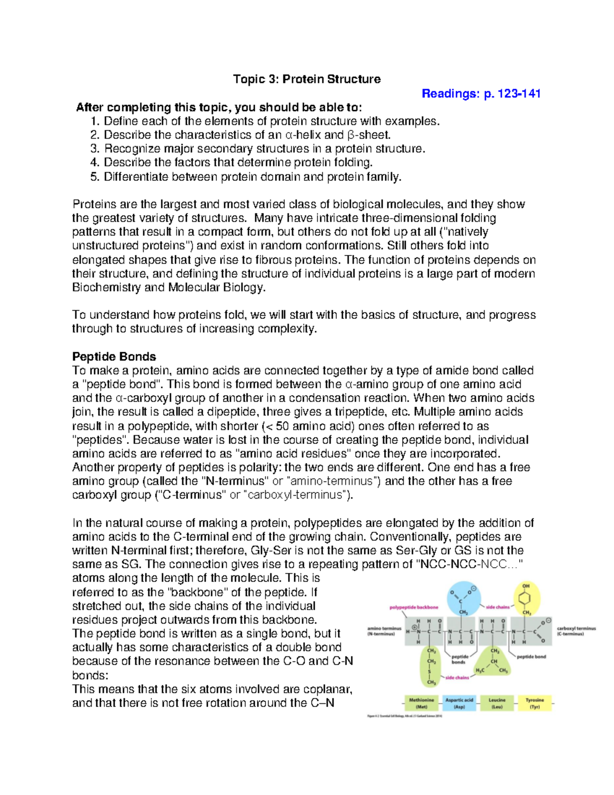 Topic 3 - Lecture notes 3 - Topic 3: Protein Structure Readings: p ...