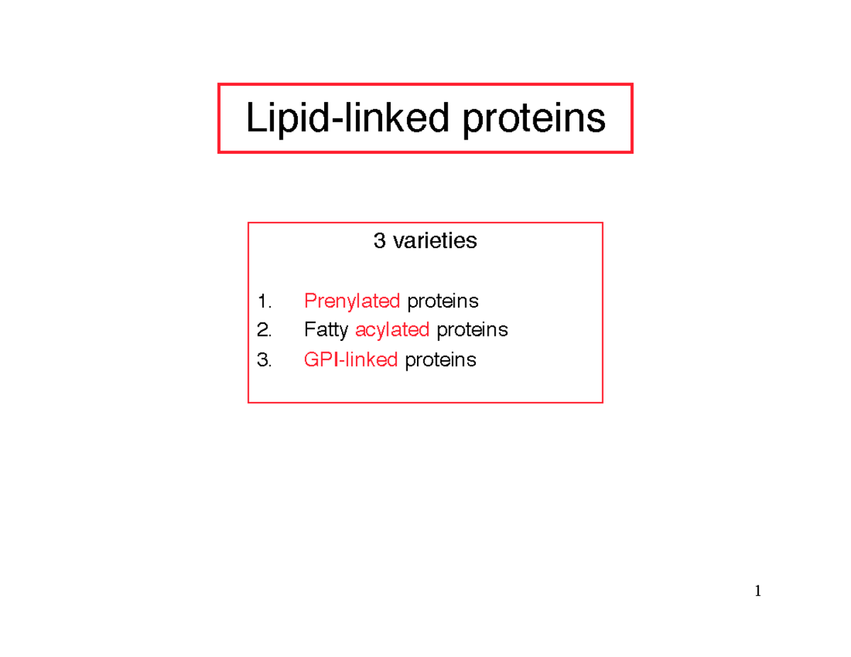 560 F2019 L23 - Lecture Notes 23 - Lipid-linked Proteins 3 Varieties ...