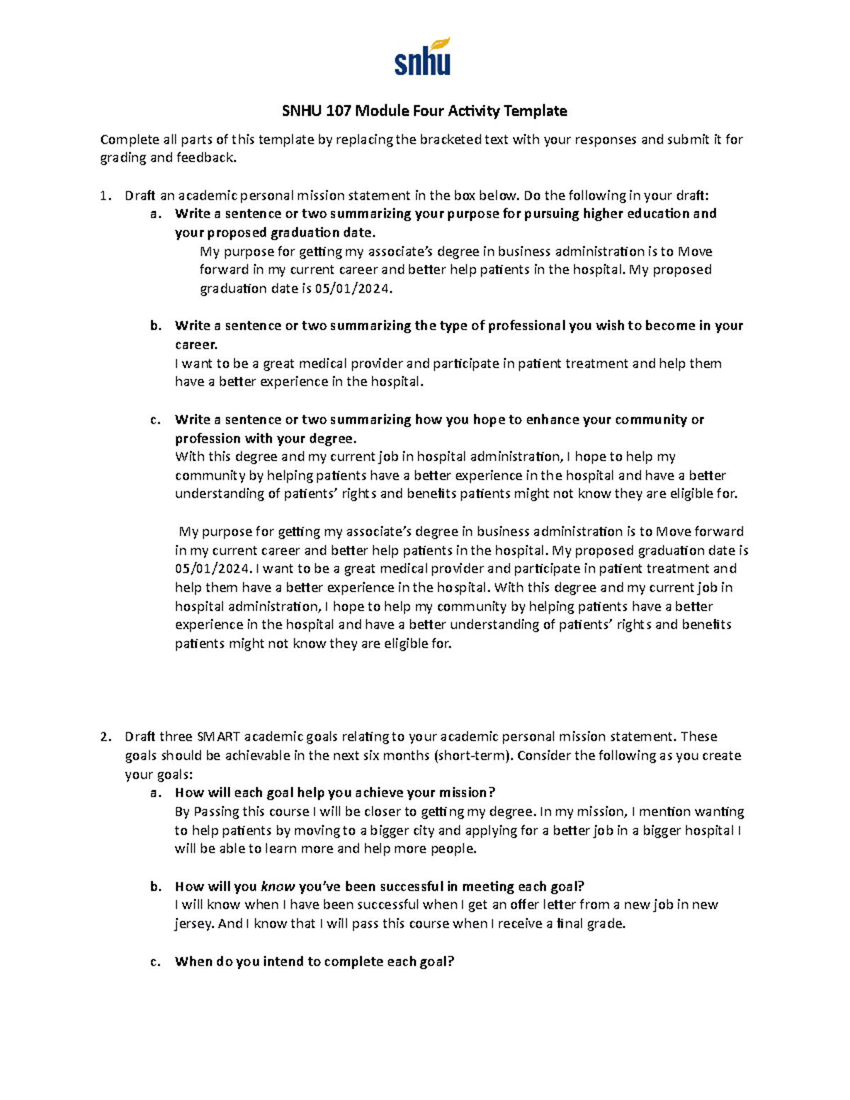 snm assignment template ecu