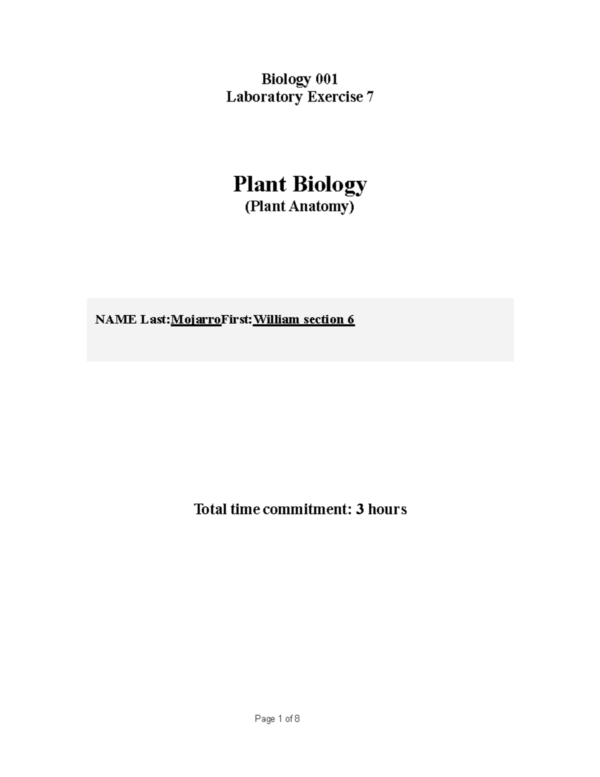 introduction-to-filament