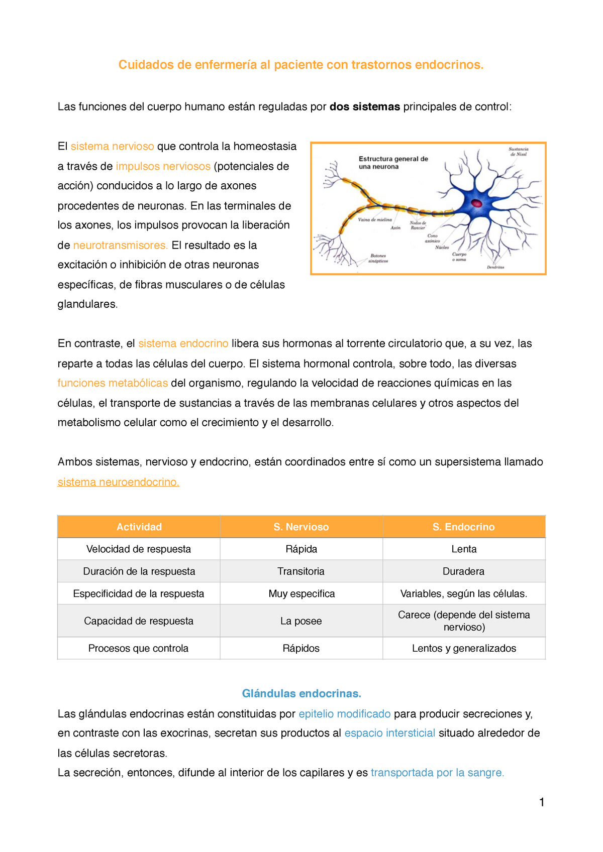 Trastornos Endocrinos - Las Funciones Del Cuerpo Humano Reguladas Por ...