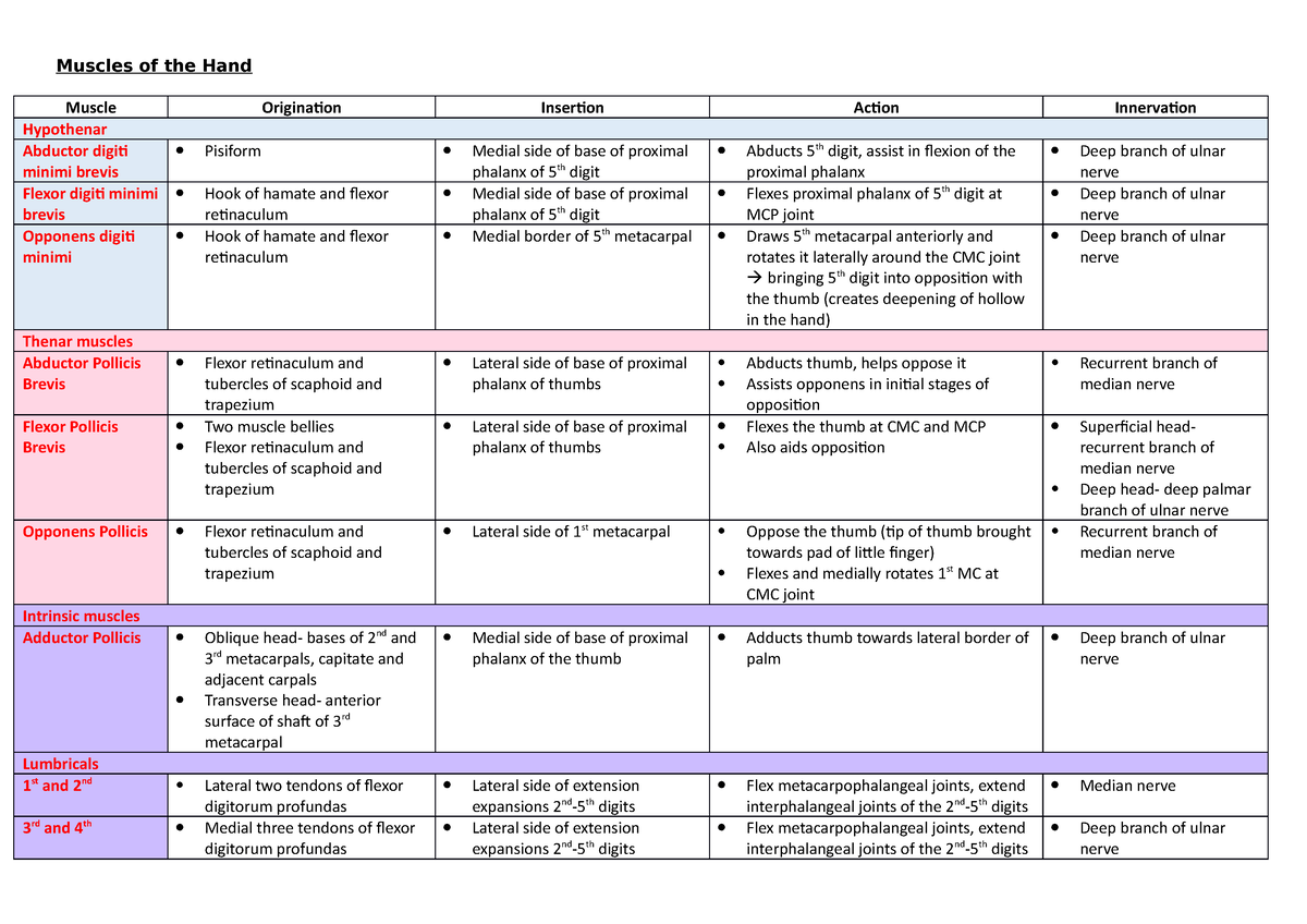 Muscles of the Hand - Muscles of the Hand Muscle Origination Insertion ...