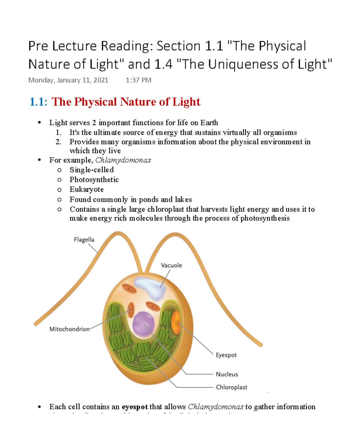 Physical Nature of Light and Uniqueness - Studocu