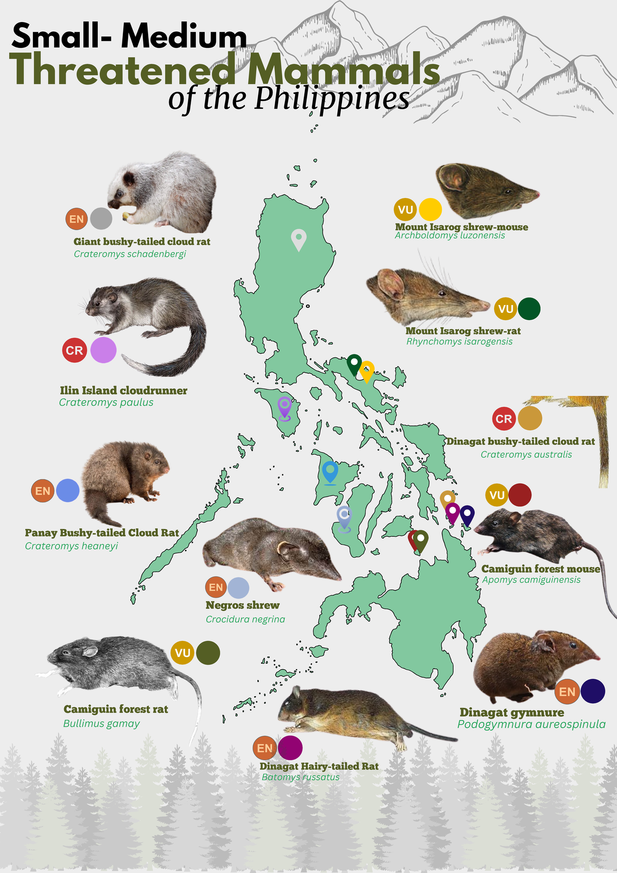 Small- Medium - of the Philippines Small- Medium Threatened Mammals ...