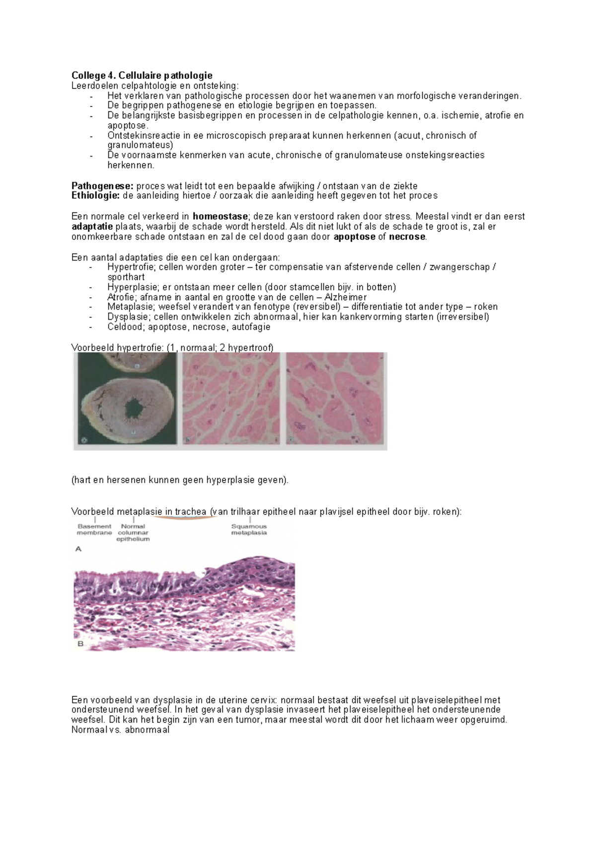 College 4 + 5 - Samenvatting Van Pathologie - College 4. Cellulaire ...