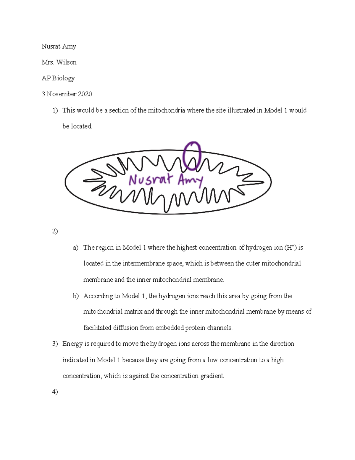 Oxidative Phosphorylation Pogil: The Ultimate Guide - zdbkjdu