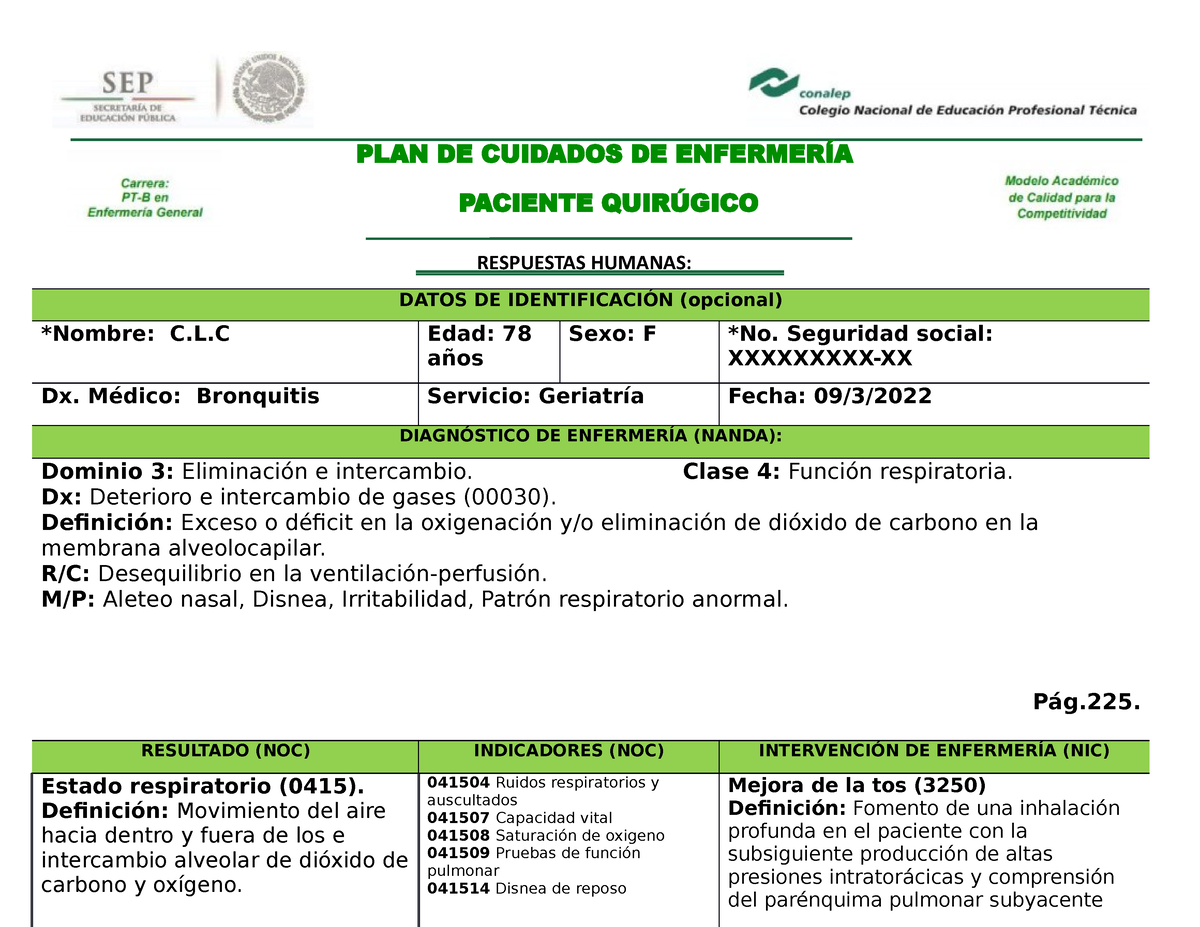 Bronquitis - Tareas De Enfermería - PLAN DE CUIDADOS DE ENFERMERÍA ...