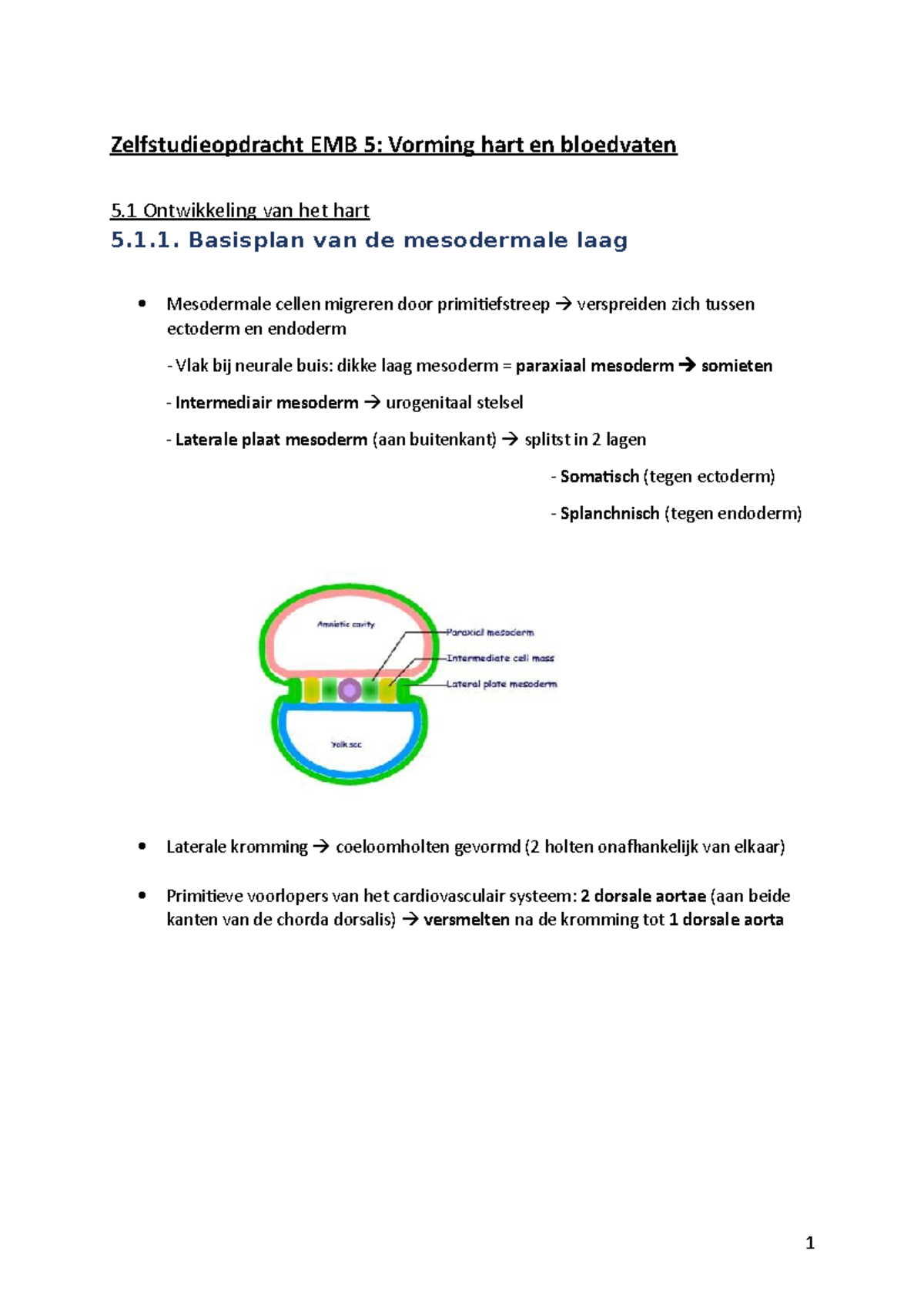 EMB-5 samenvatting Zelfstudieopdracht EMB 5: Vorming hart en bloedvaten ...