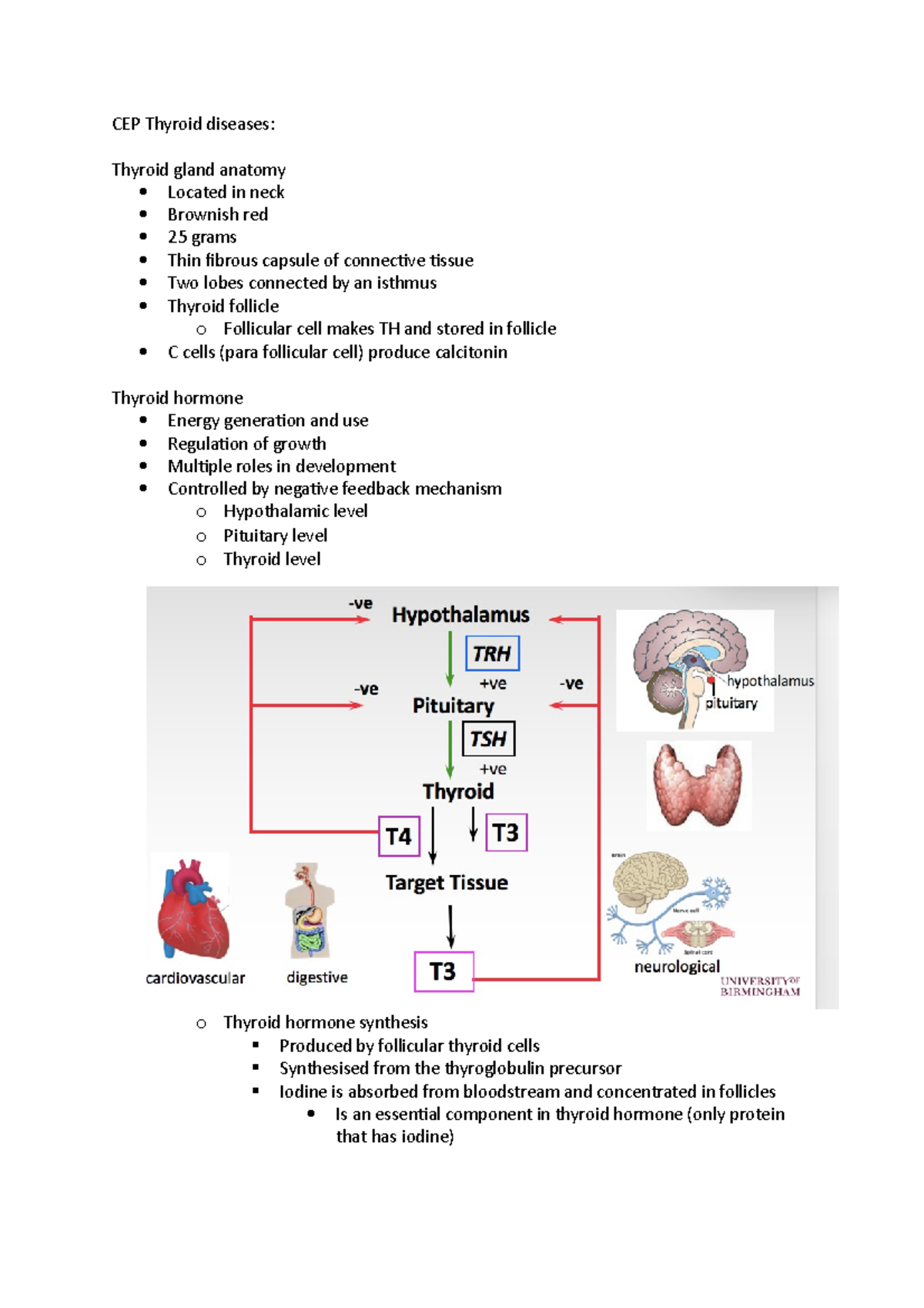 CEP Thyroid diseases - CEP Thyroid diseases: Thyroid gland anatomy ...