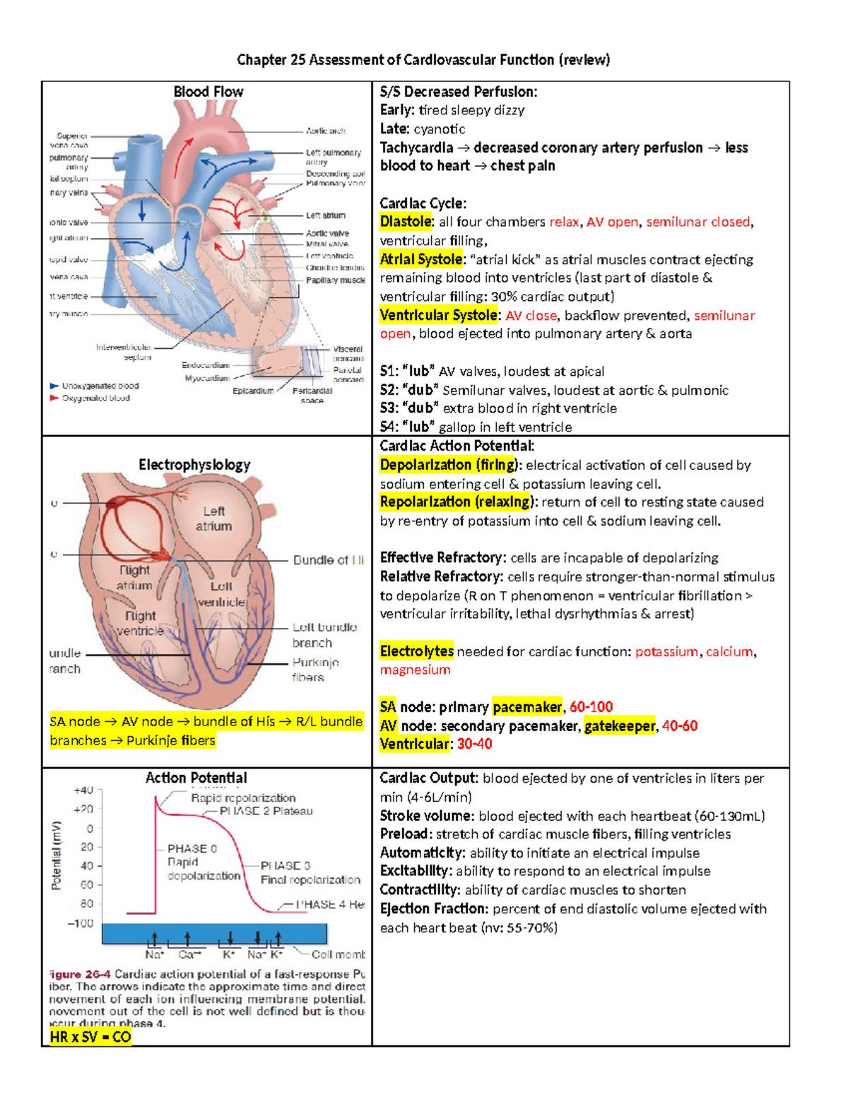 Ch 25 26 - Cardiovascular Function - Chapter 25 Assessment Of ...