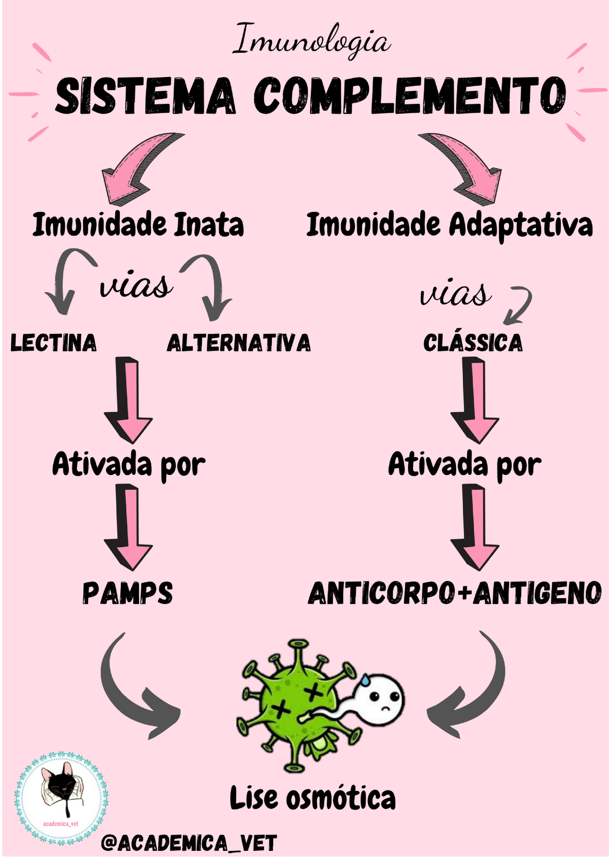 Sistema Complemento Mapa Mental 0839