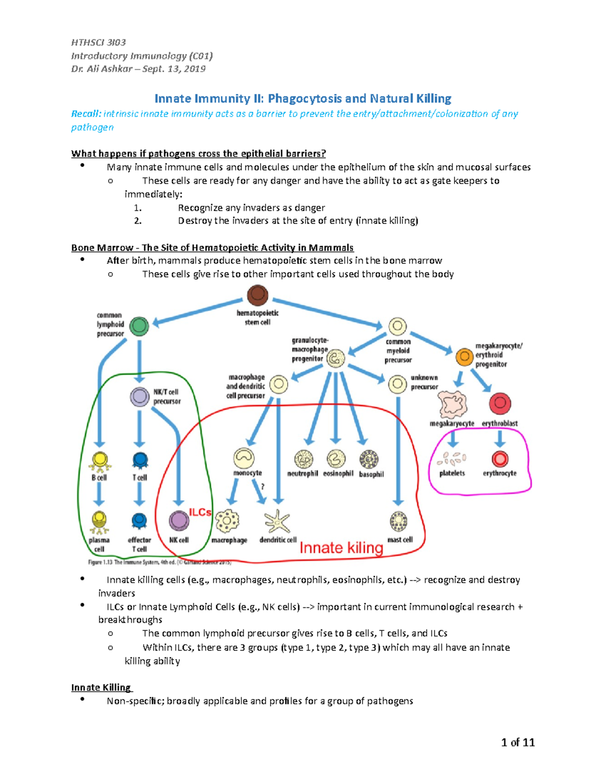 (3)innate immunity ii - Introductory Immunology (C01) Dr. Ali Ashkar ...