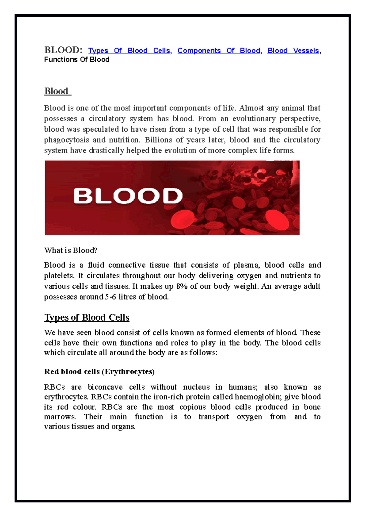 four-types-of-blood-specimens