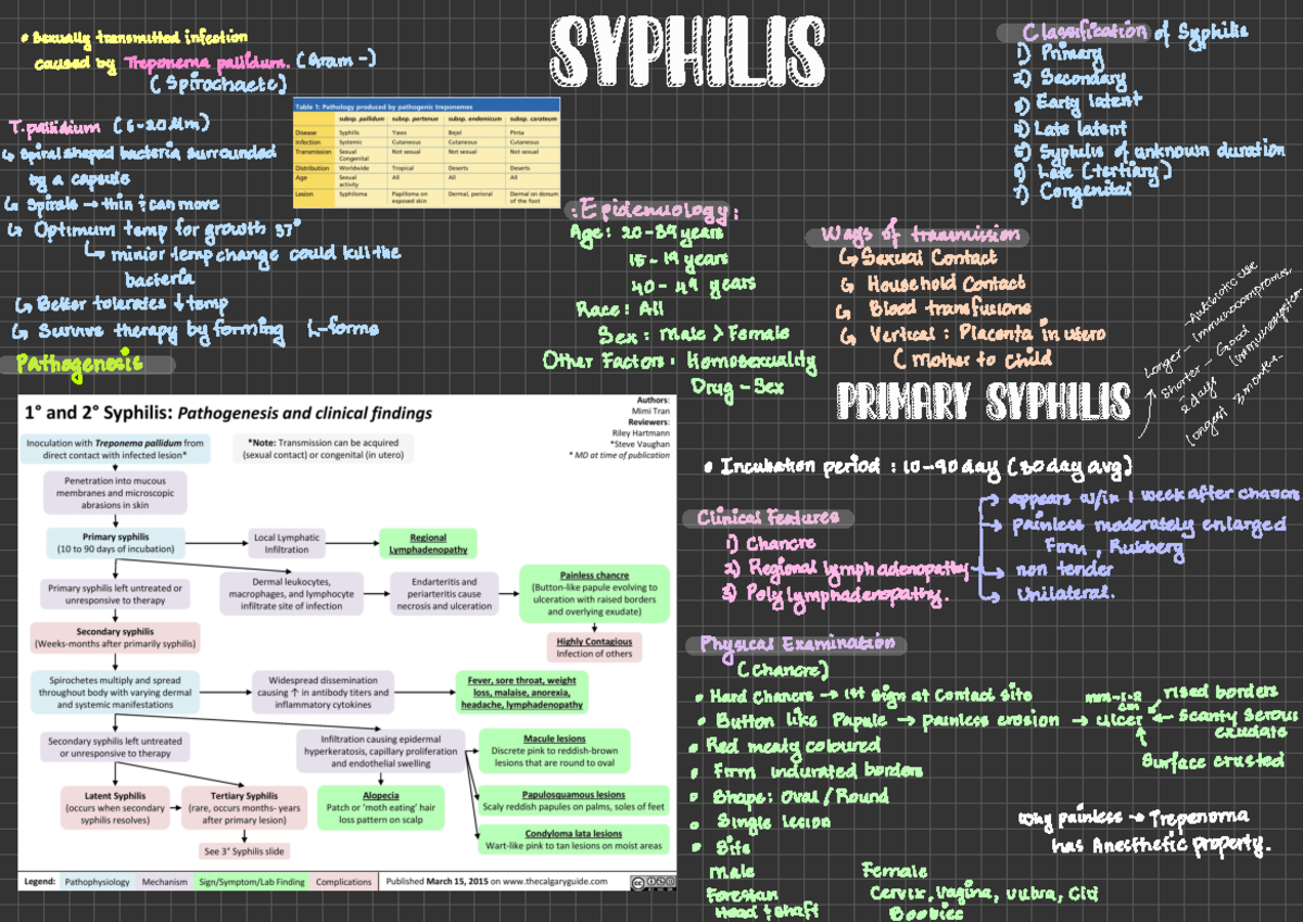 Syphilis Dermatology - Definition Etiology Clinical features Diagnosis ...