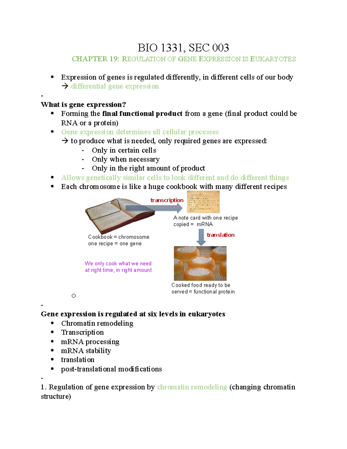 Bio notes, ch. 19 - regulation for gene expression in eukaryotes ...