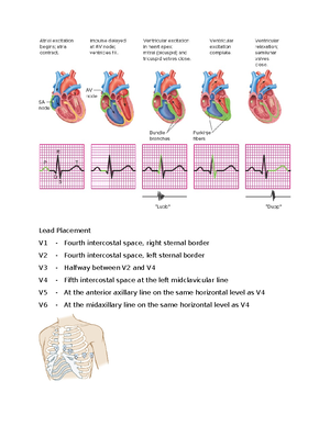 Cardiac Study Guide - Lecture notes - Adult 2 Exam 2 CARDIOVASCULAR ...