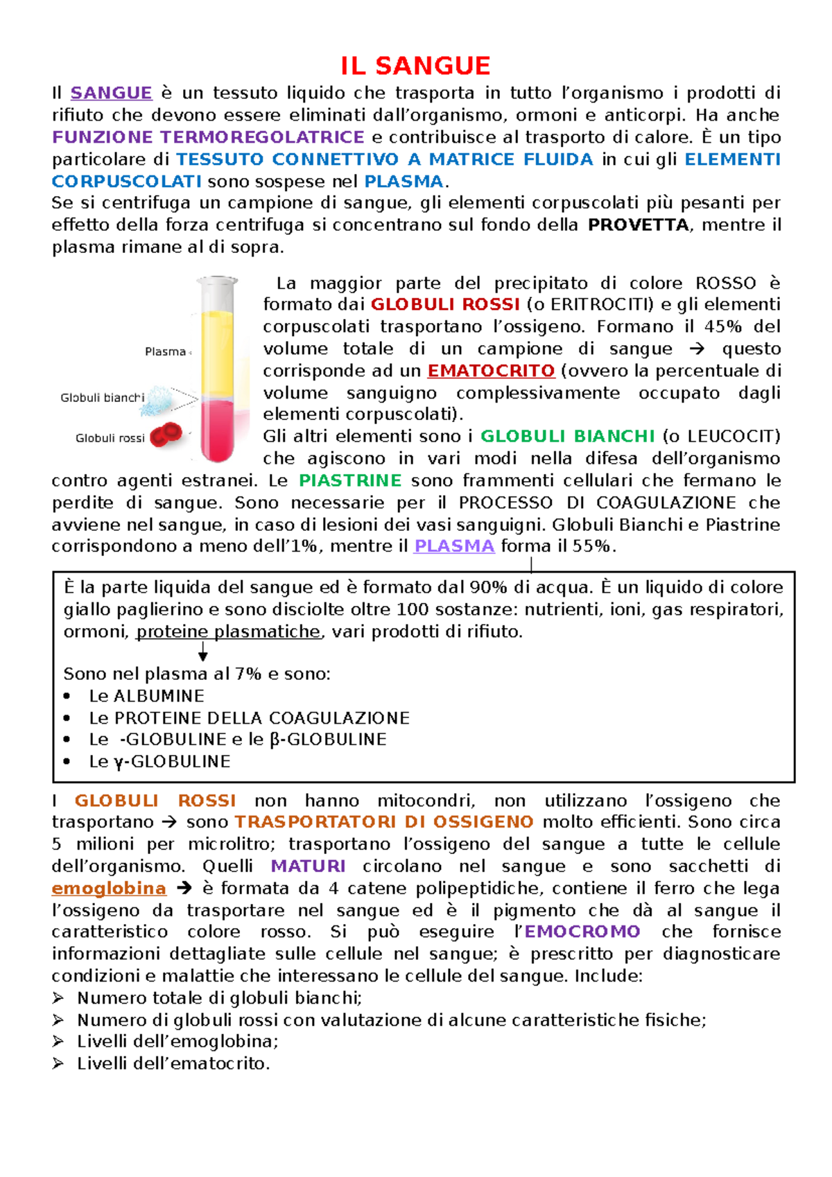 IL Sangue - IL SANGUE Il SANGUE è Un Tessuto Liquido Che Trasporta In ...