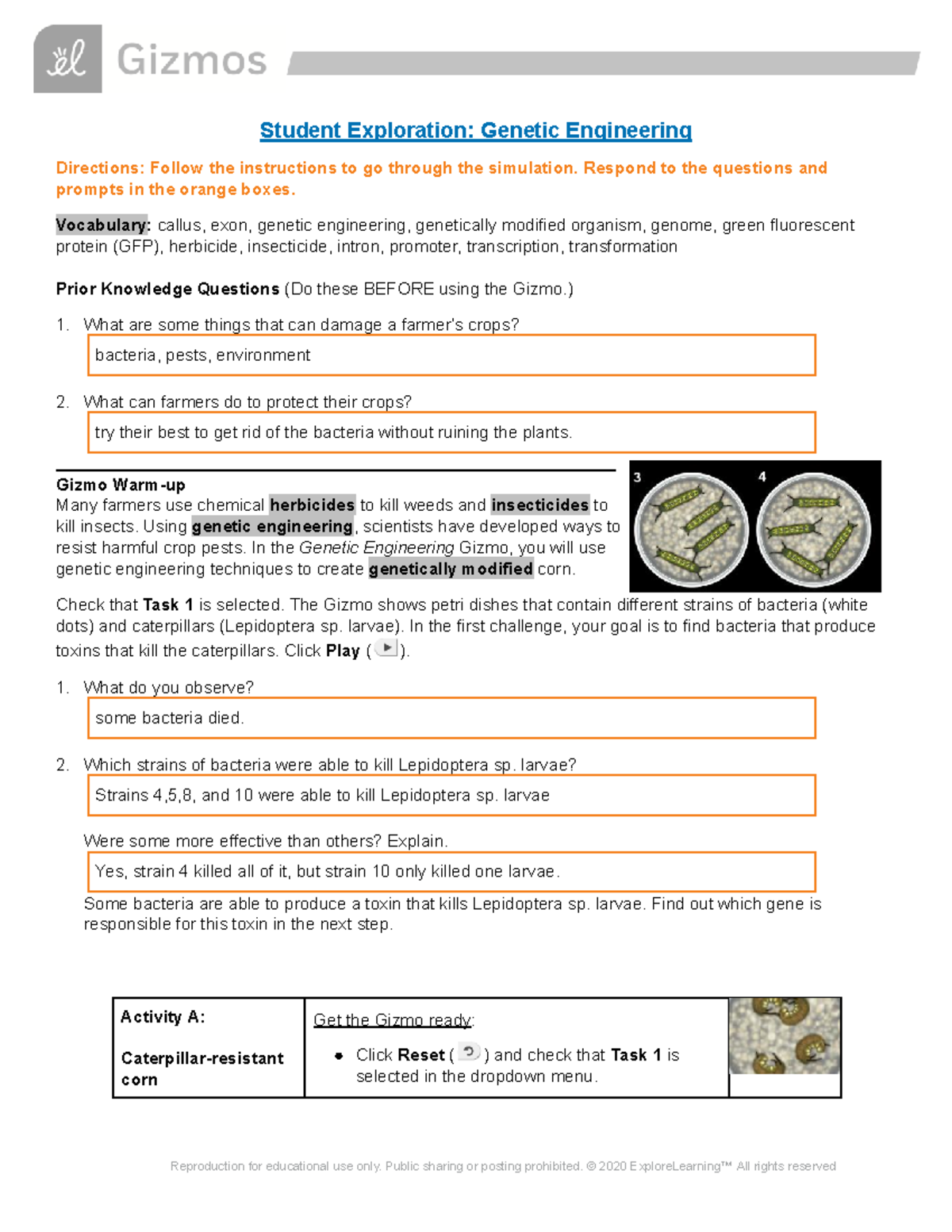 genetic engineering homework