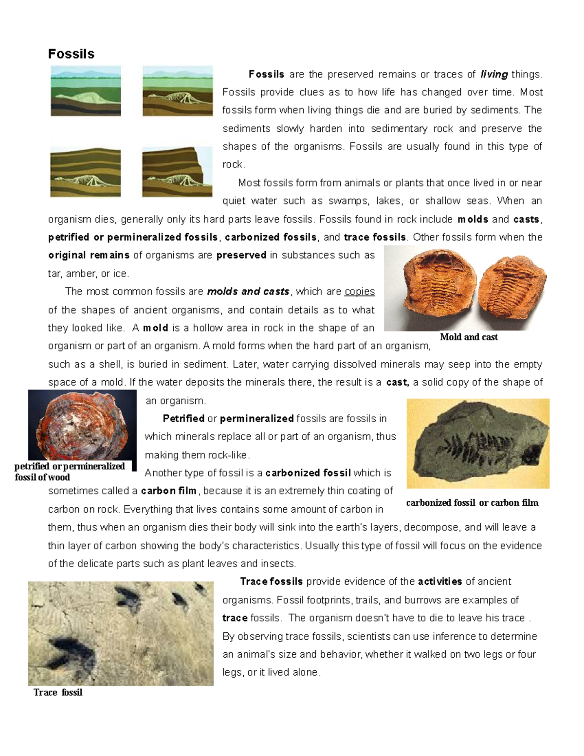 Fossils Homework Sheet Fossils Fossils are the preserved remains or