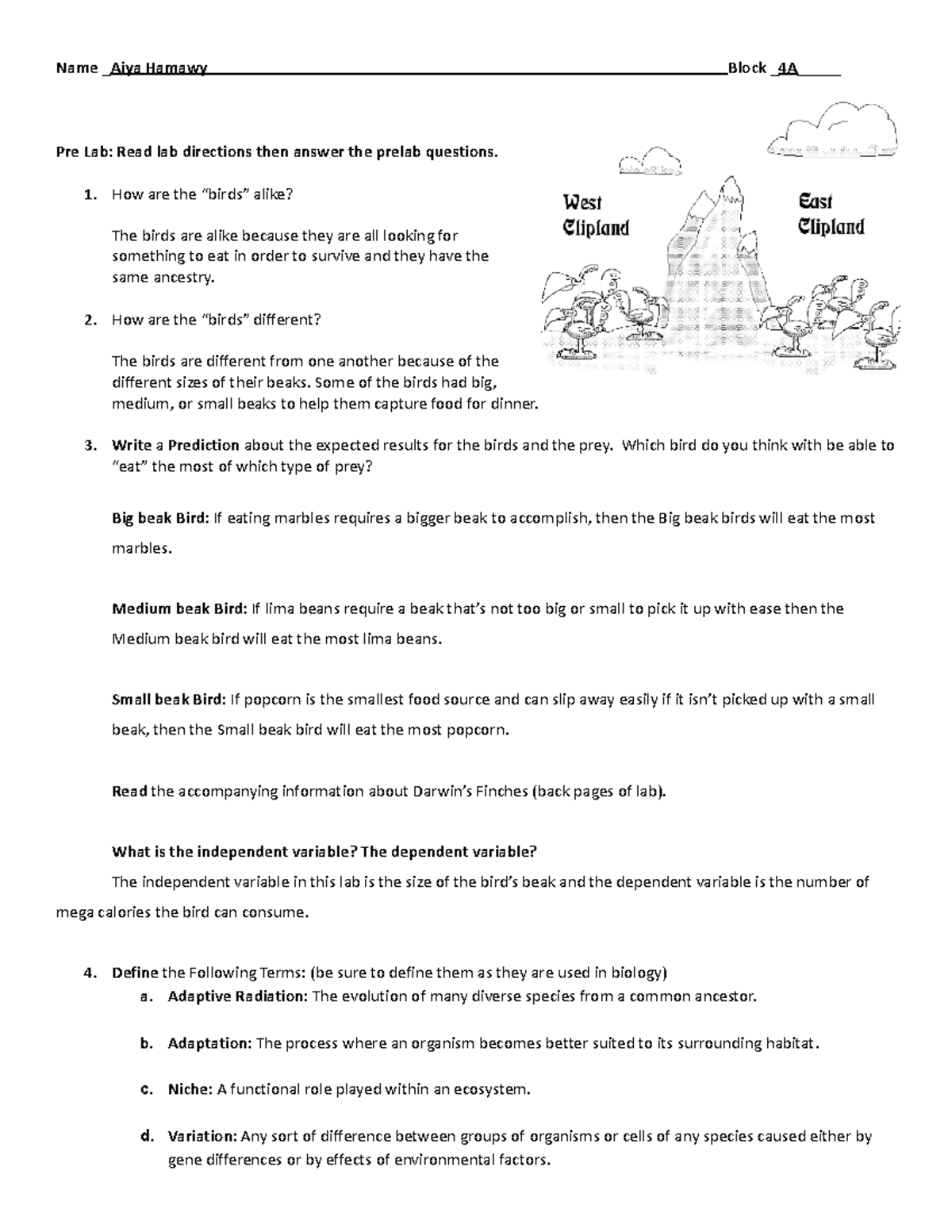 Bird Beak Lab Answer Key - j8eopif