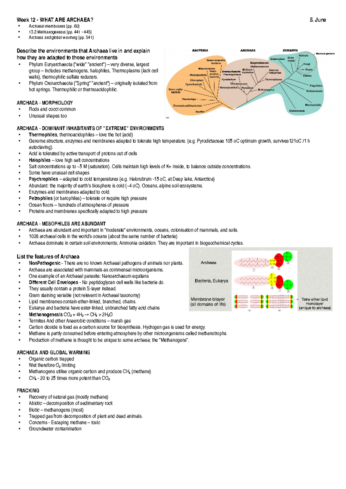 Week 12 - GEN Micro - Lecture notes 12 - Week 12 - WHAT ARE ARCHAEA ...