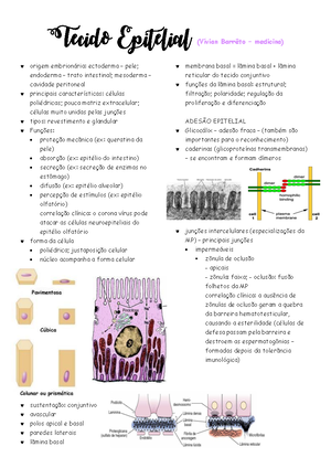 Histologia - Língua E Parótida - HISTOLOGIA – AULA 4 LÍNGUA A Língua é ...