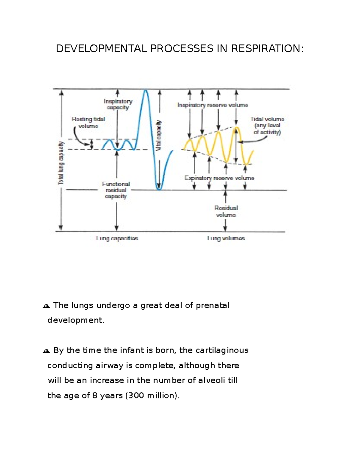Developmental Processes IN Respiration - DEVELOPMENTAL PROCESSES IN ...
