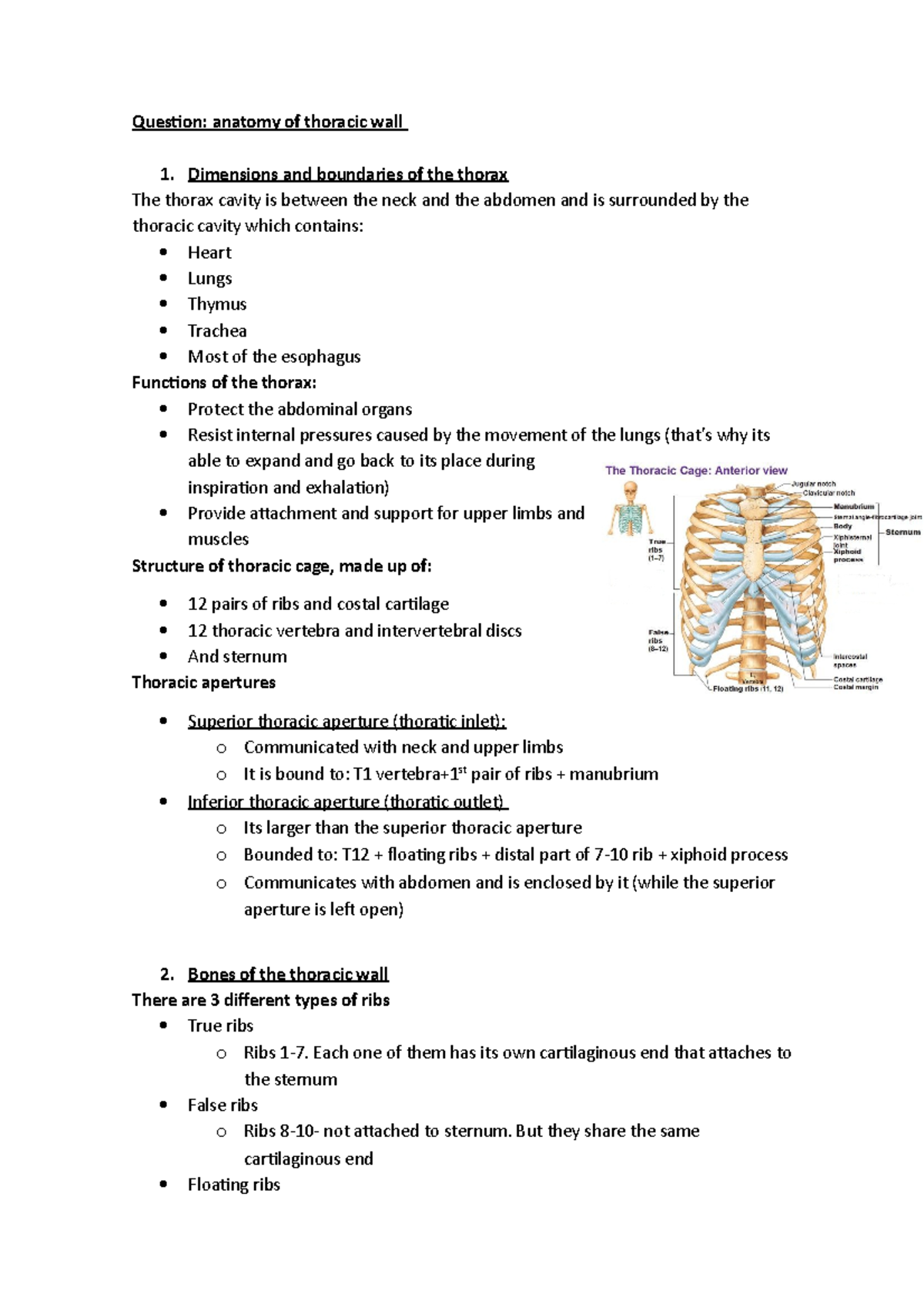 Anatomy thorax - Question: anatomy of thoracic wall 1. Dimensions and ...