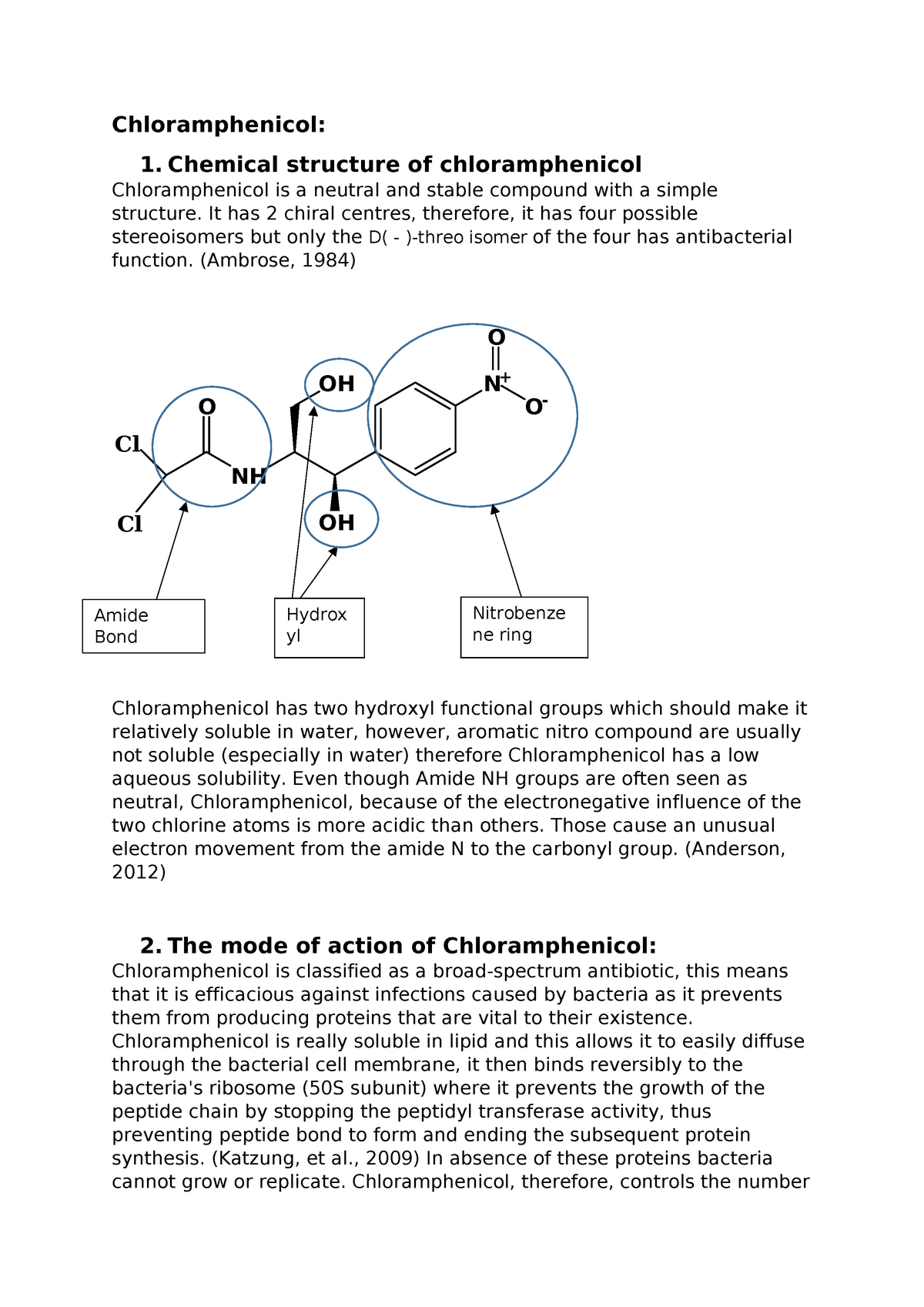 Annotated Final Chloramphenicol Chloramphenicol 1 Chemical Structure Of Chloramphenicol Studocu