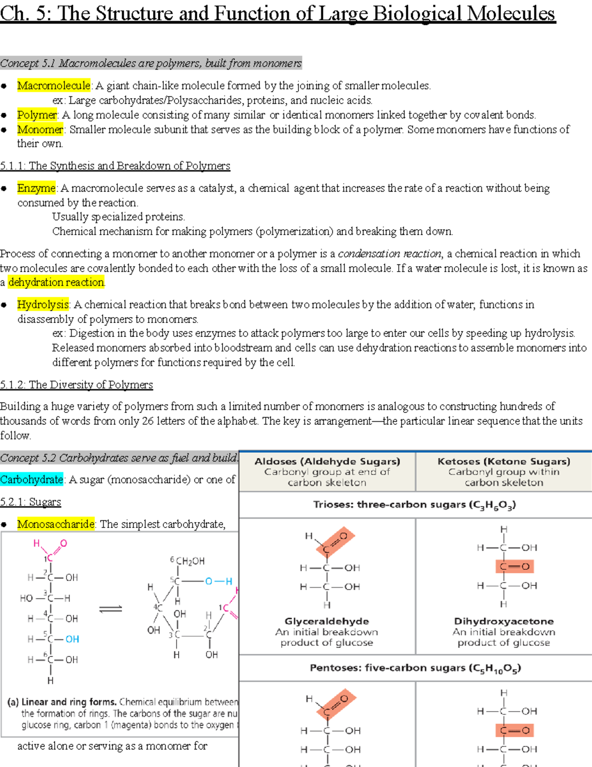 Ch.5 - The Structure And Function Of Large Biological Molecules - Ch. 5 ...