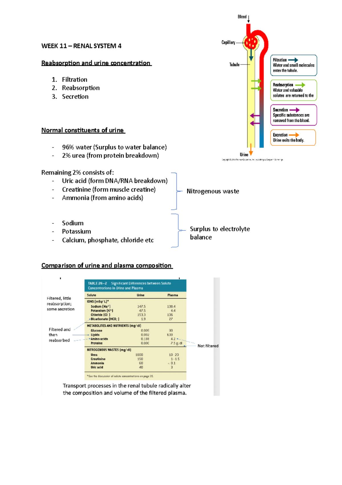 Renal System notes - WEEK 11 – RENAL SYSTEM 4 Reabsorption and urine ...