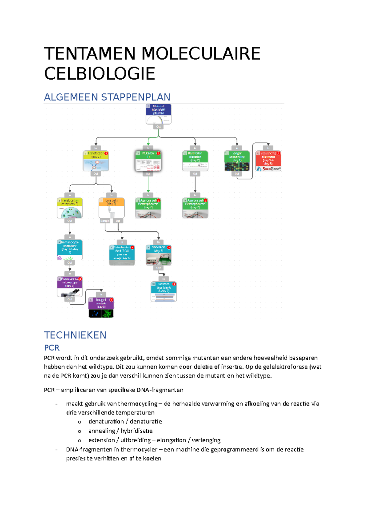 Tentamen Moleculaire Celbiologie - TENTAMEN MOLECULAIRE CELBIOLOGIE ...