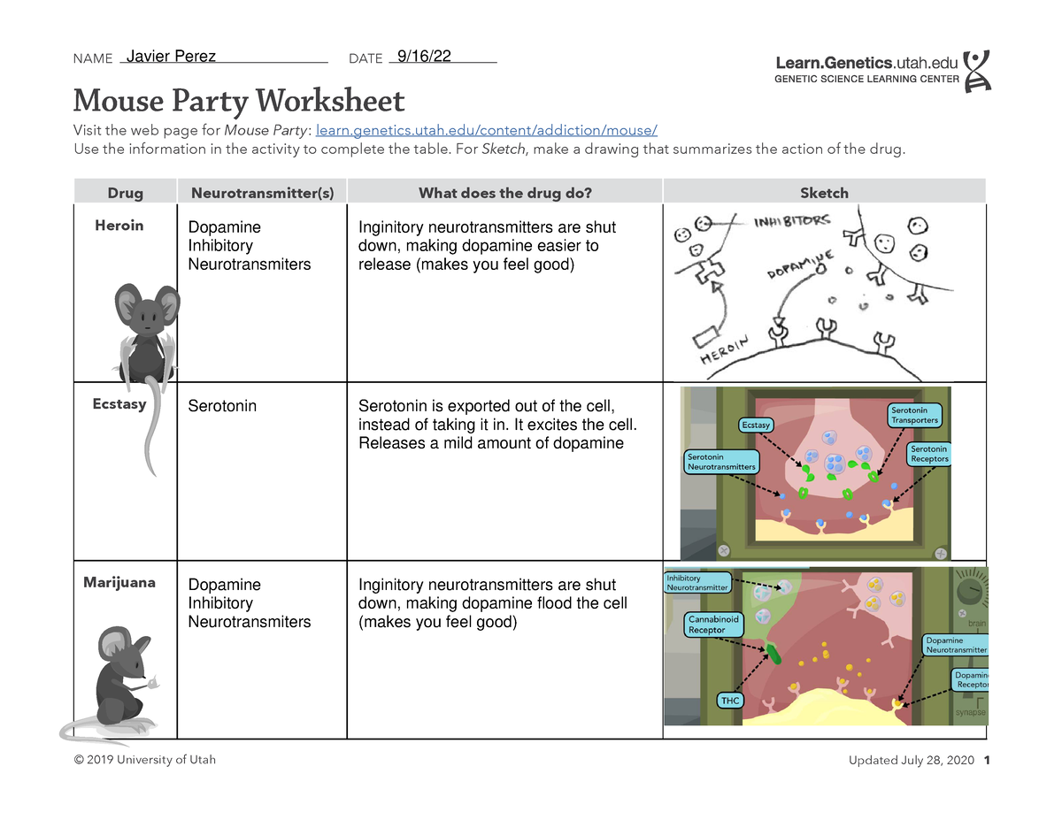 Mouse Party Worksheet © 2019 University of Utah Updated July 28 2020