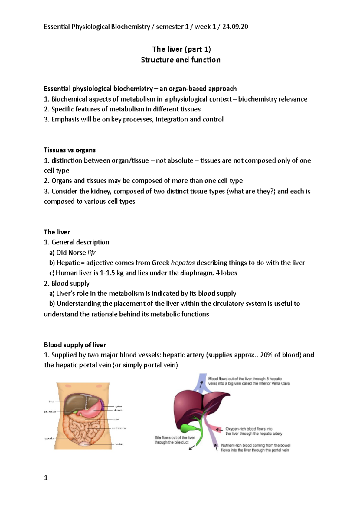 Essential Physiological Biochemistry Lecture week 1 - The liver (part 1 ...