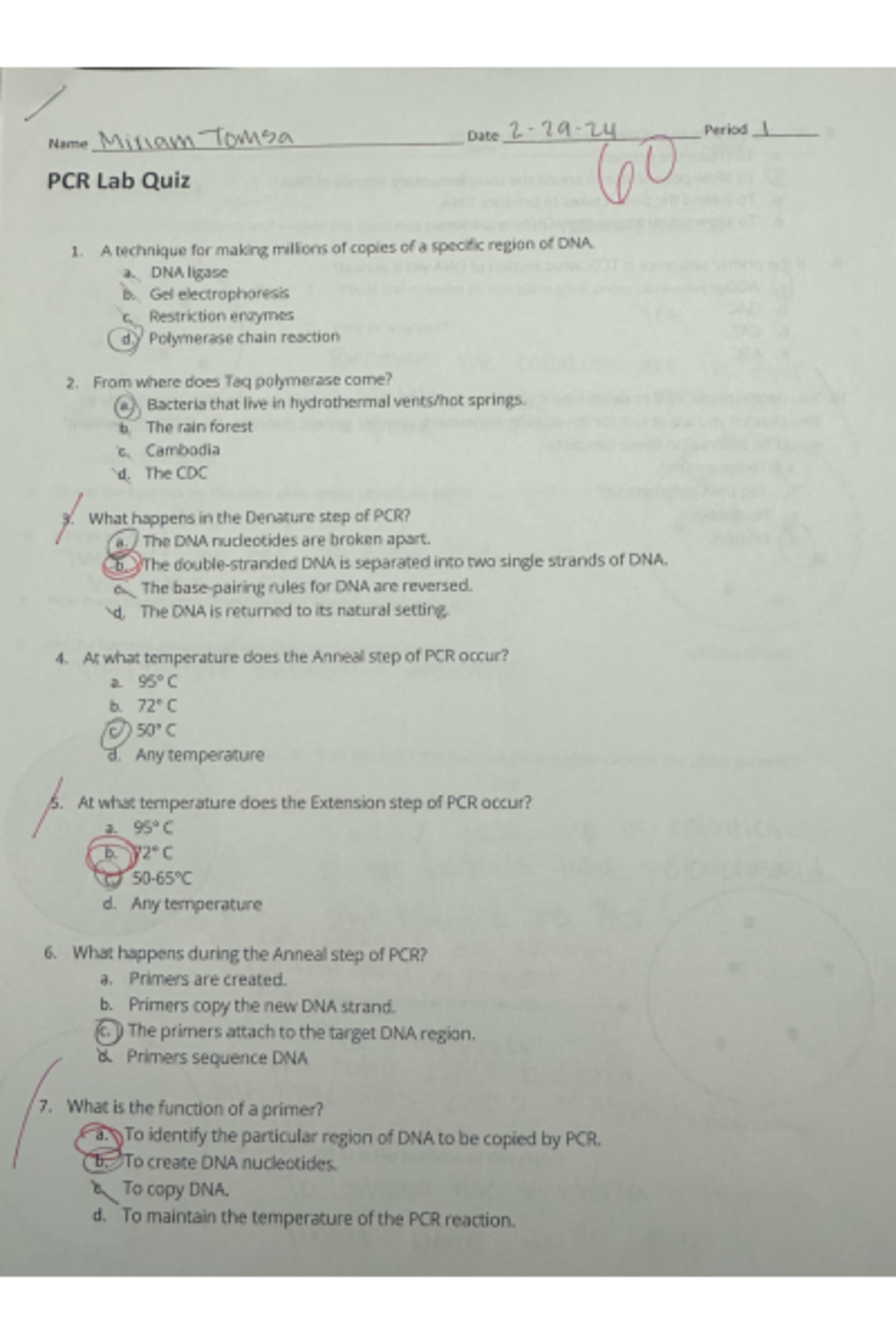 PCR and pGLO quiz - Studocu