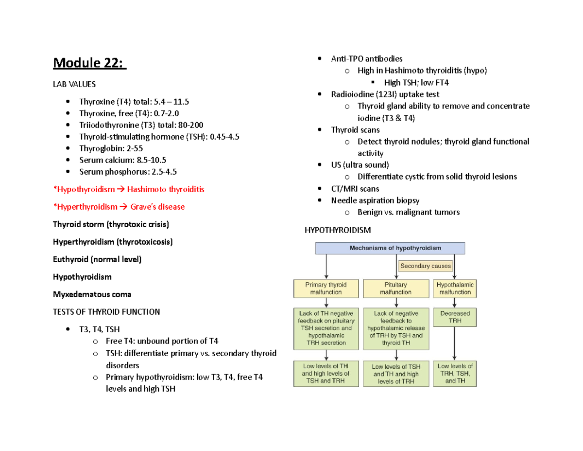 Module 22 Notes Module 22 LAB VALUES Thyroxine (T4) total 5 11