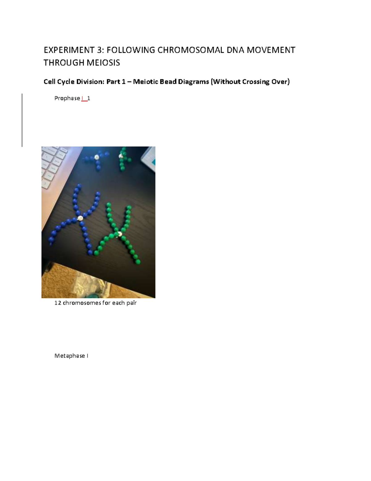 Lab 3, Experiment 3, Data EXPERIMENT 3 FOLLOWING CHROMOSOMAL DNA