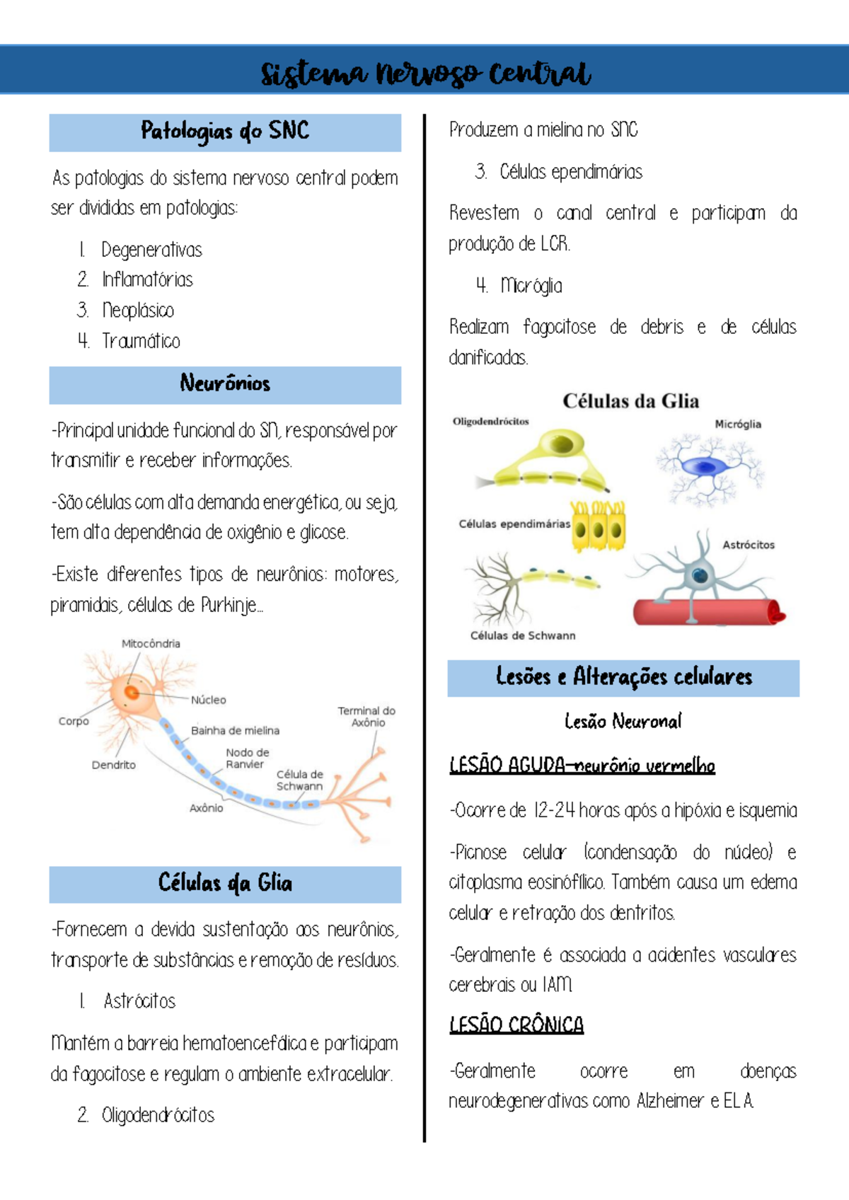 Patologia - SNC - Sistema Nervoso Central As patologias do sistema ...