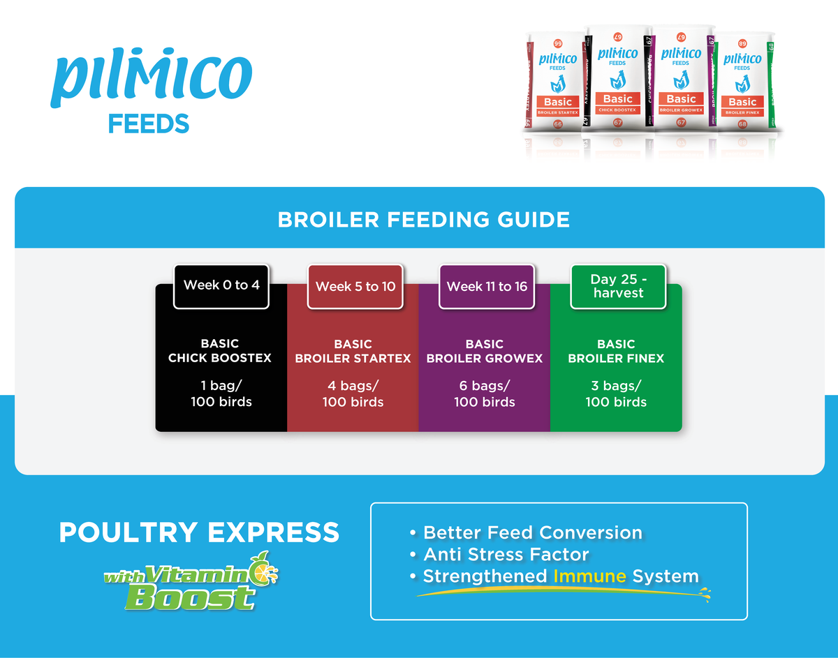 Feeding-Guide basic 081120 - Agricultural engineering - BROILER FEEDING ...