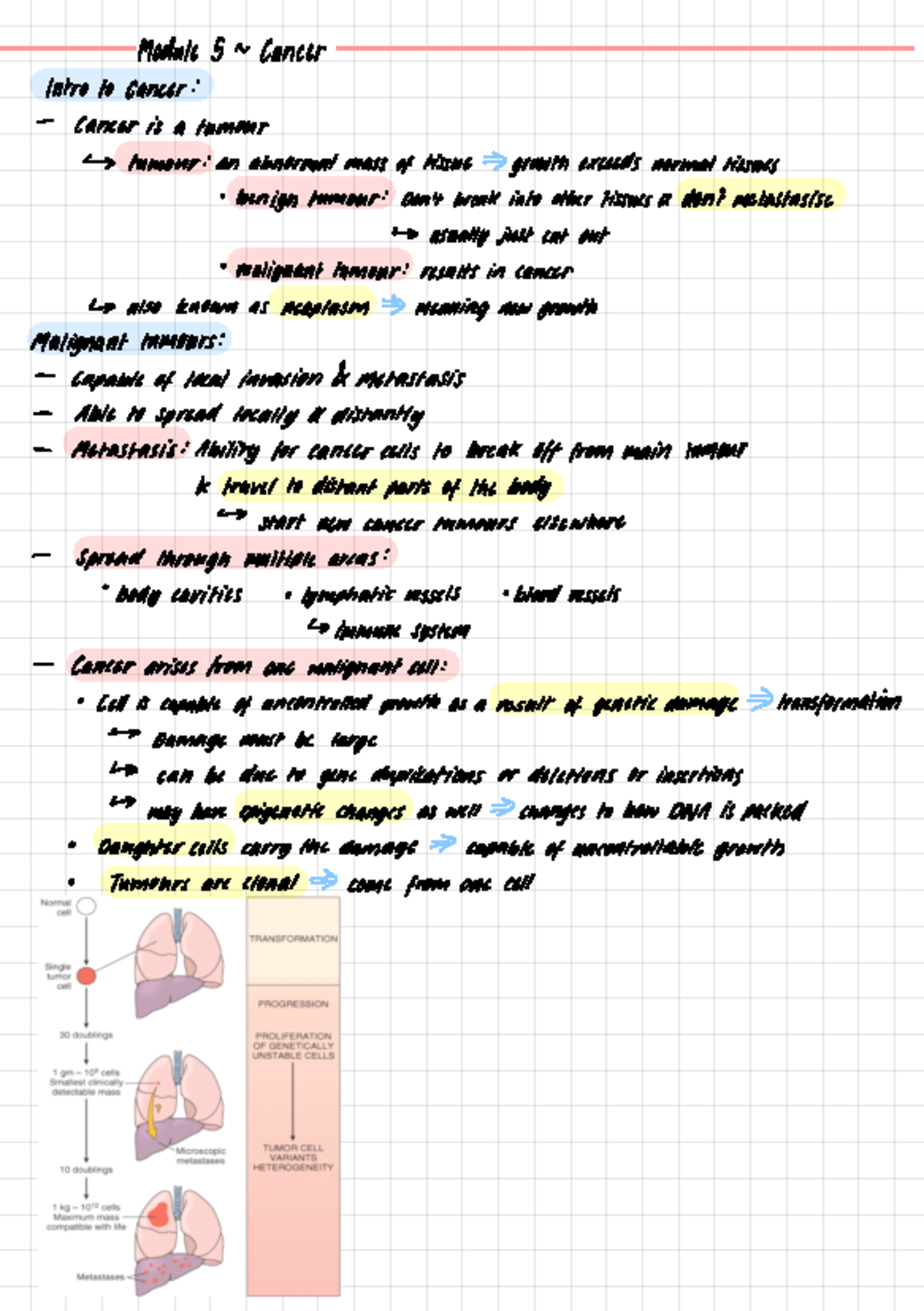 cancer-moduk5-lan-intro-to-cancer-cancer-is-a-tumour-tumour-an