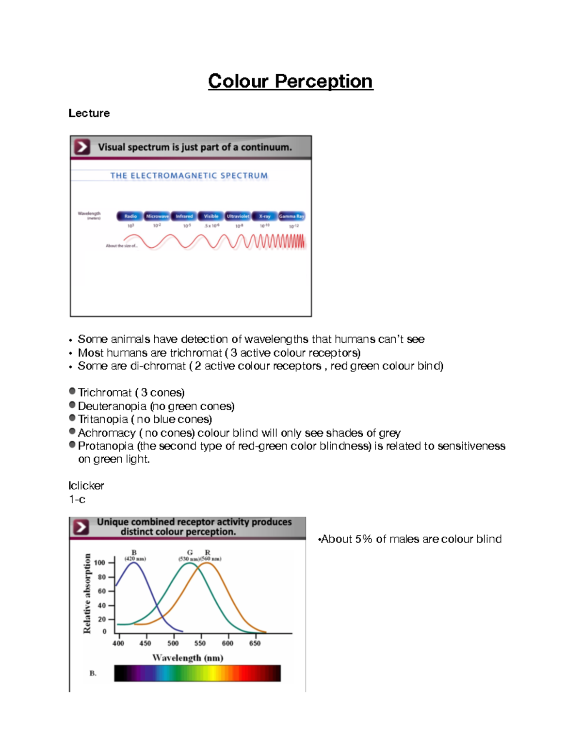 Colour Perception pdf - Colour Perception Lecture • Some animals have ...