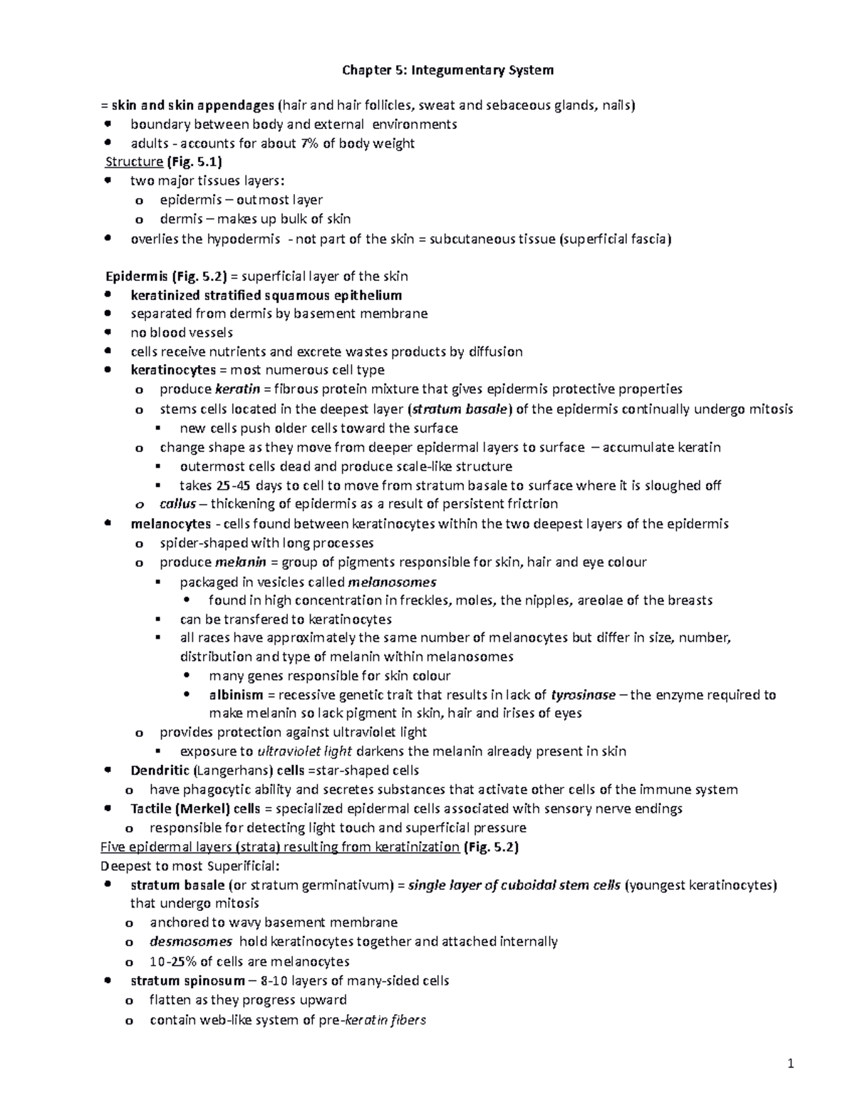 Chapter 5 - Integumentary System - 5) two major tissues layers: o ...