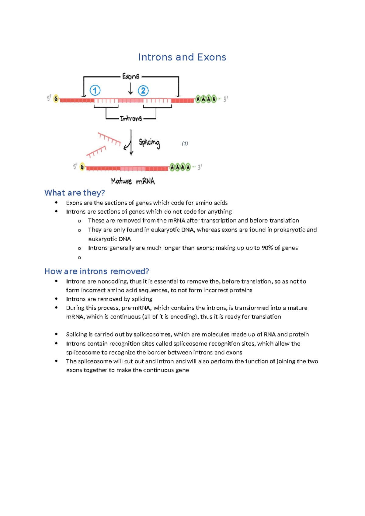 Introns vs exons - Introns and Exons What are they? Exons are the ...