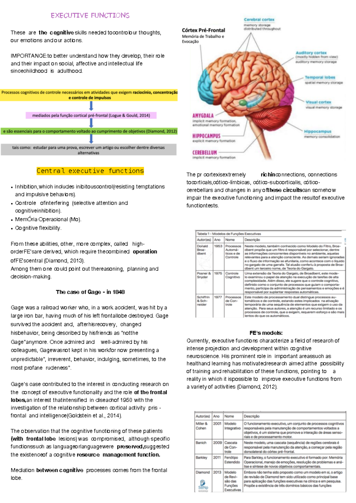 Executive functions - Structure and Function 3: Cardiovascular ...