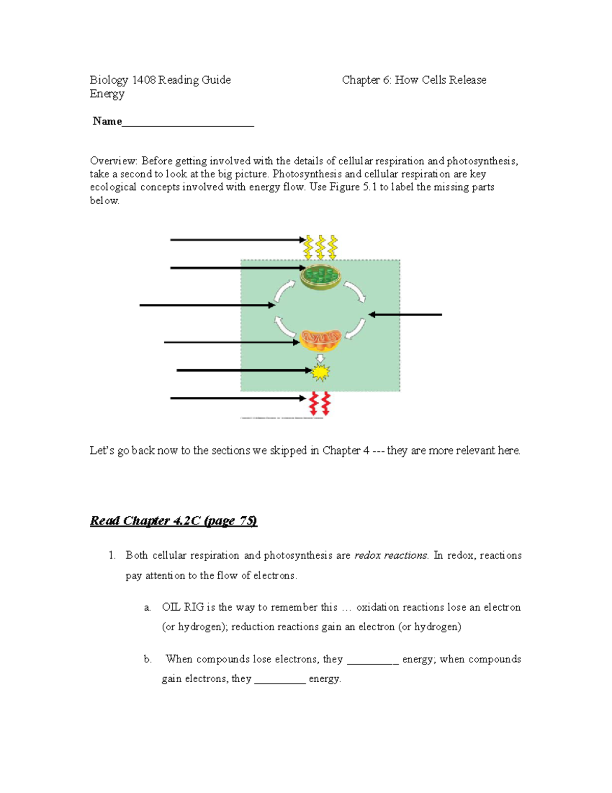 Biology+1408+Reading+Guide+Chapter+6 - Biology 1408 Reading Guide ...