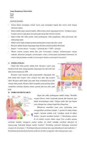 Laporan Praktikum Identifikasi Bakteri Gram Positif Dan Negatif ...