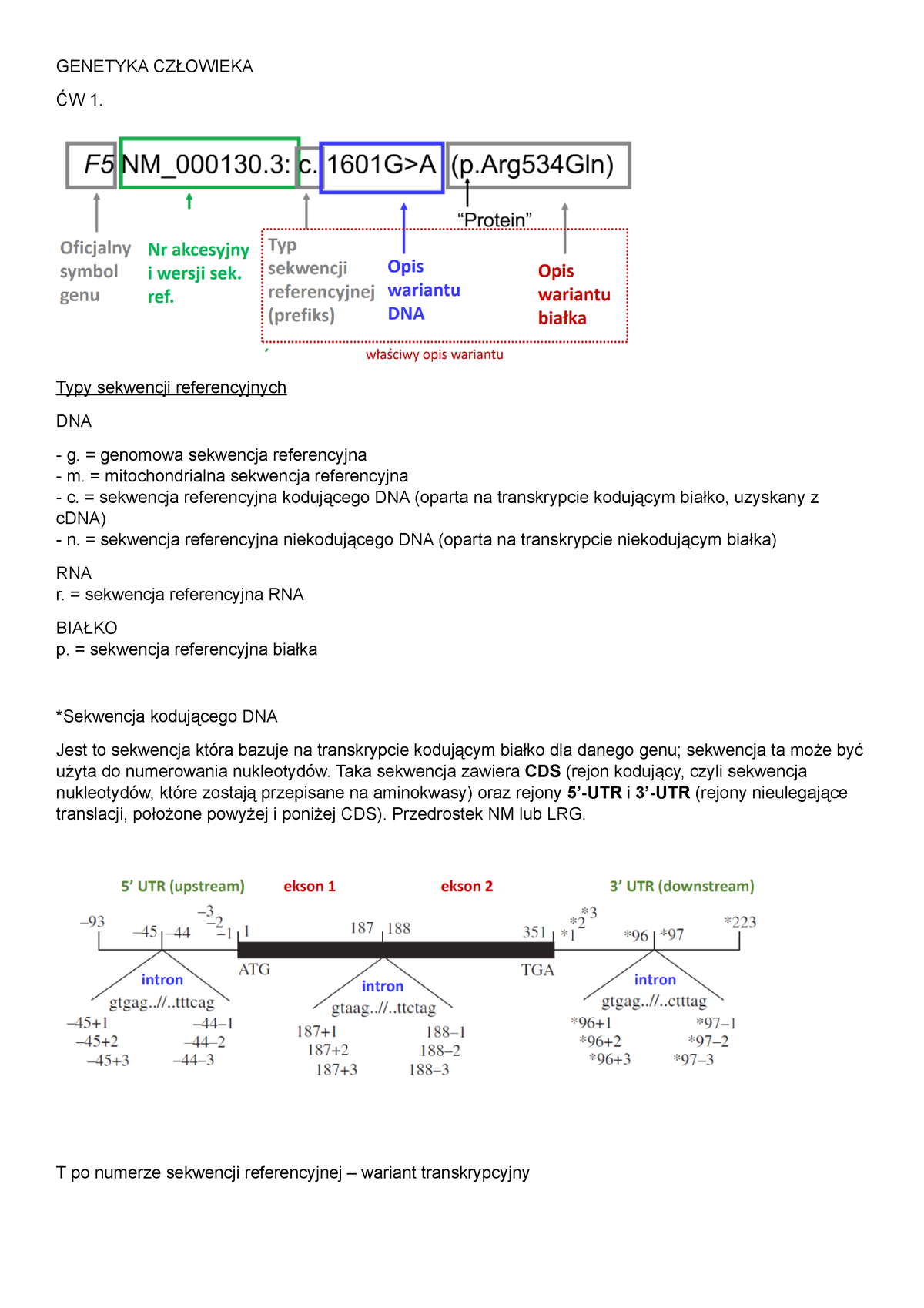 Genetyka Cz Owieka Laby Genetyka Cz Owieka W Typy Sekwencji Referencyjnych Dna G